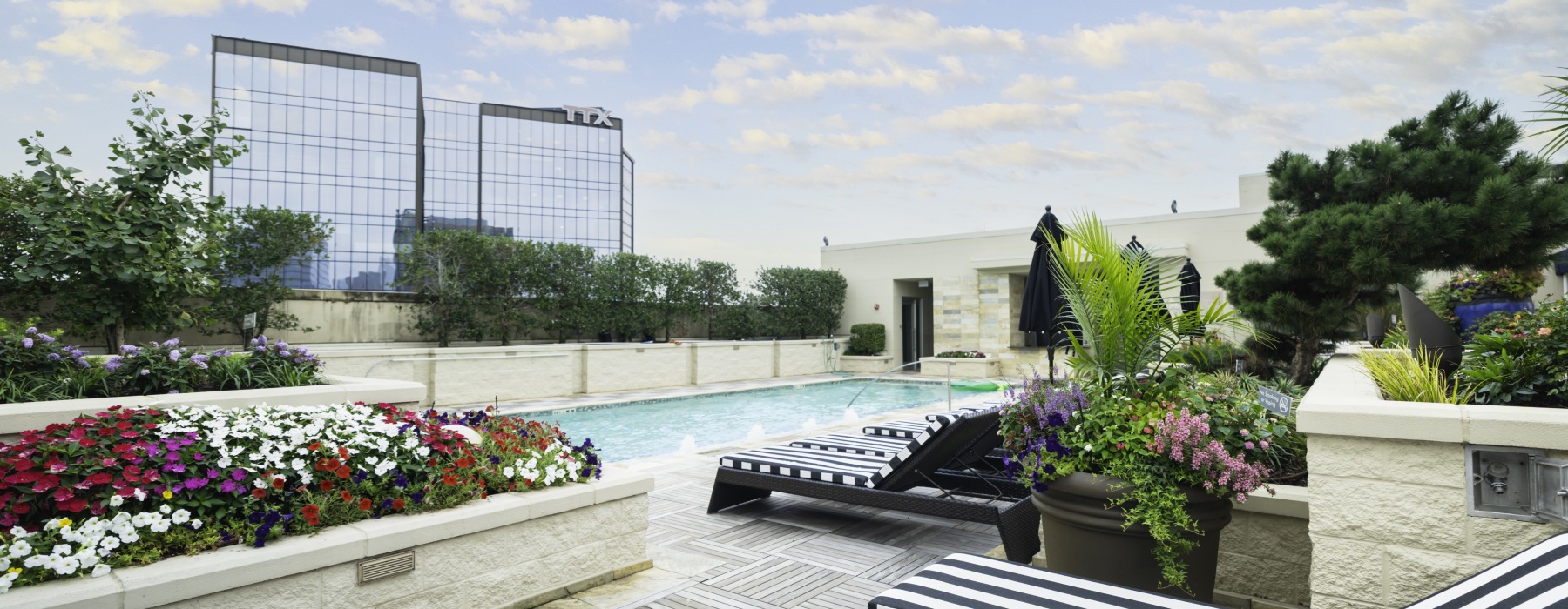 Rooftop Pool with Flowers